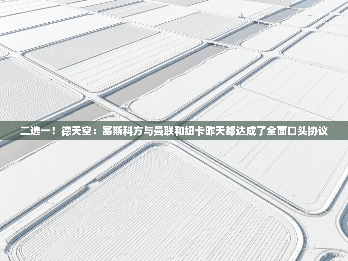 二选一！德天空：塞斯科方与曼联和纽卡昨天都达成了全面口头协议