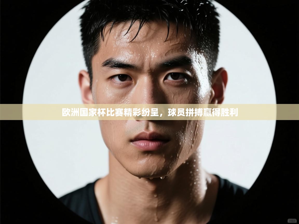 欧洲国家杯比赛精彩纷呈,球员拼搏赢得胜利 第1张
