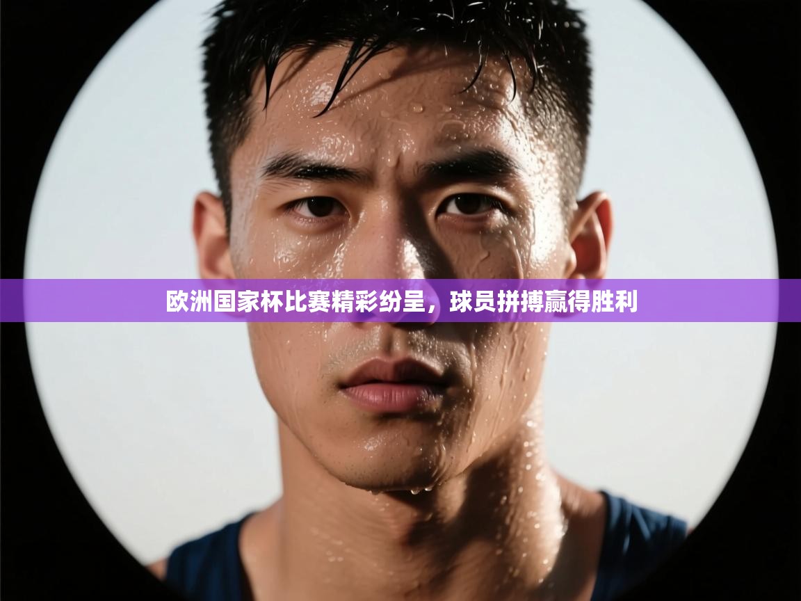欧洲国家杯比赛精彩纷呈,球员拼搏赢得胜利 第2张