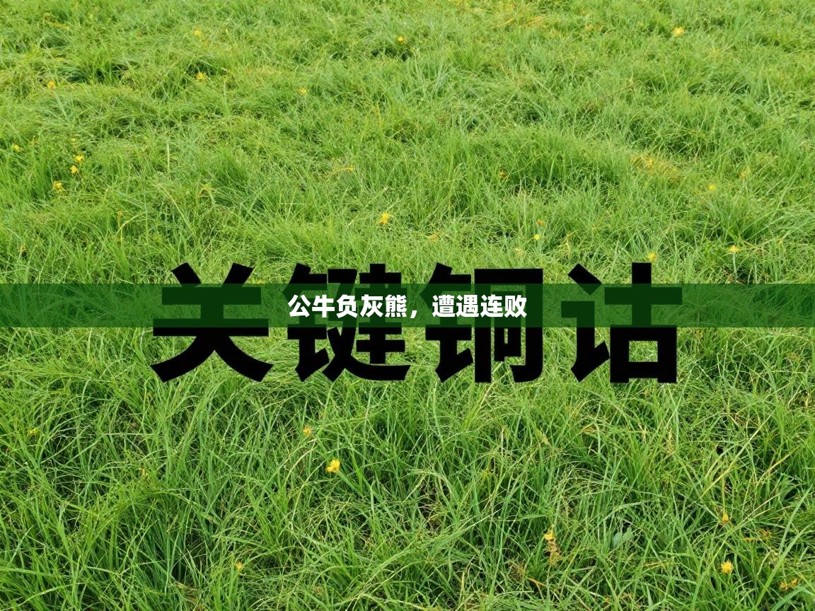 公牛负灰熊，遭遇连败  第1张